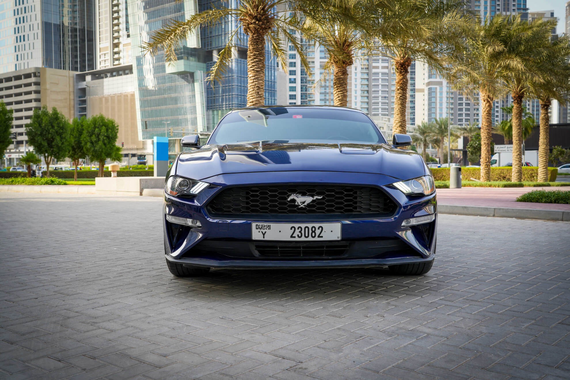 https://dev.quickdrive.ae/uploads/2022/09/03/Ford_Mustang-Ecoboost (1).jpg